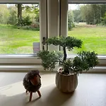 Forest With Charm And Original Details Feriehus *