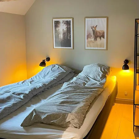 Forest With Charm And Original Details בית נופש