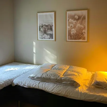 Forest With Charm And Original Details Vojens