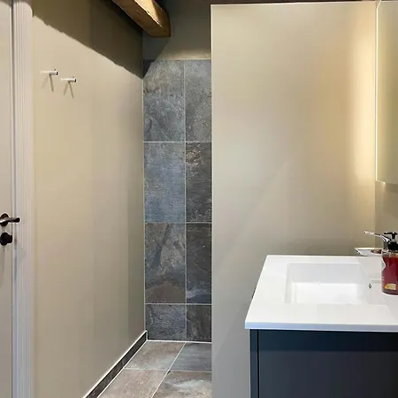 Forest With Charm And Original Details *