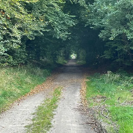 Forest With Charm And Original Details 펜션 Vojens