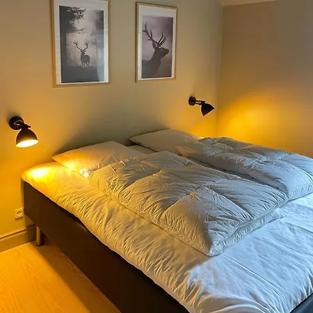 Forest With Charm And Original Details בית נופש