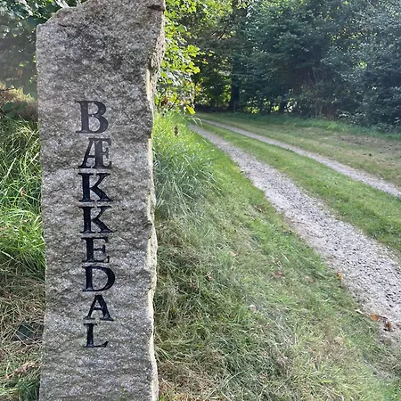 Forest With Charm And Original Details