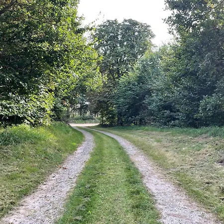 Forest With Charm And Original Details בית נופש