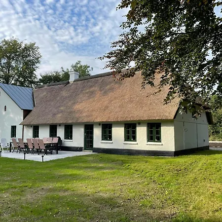 Forest With Charm And Original Details * Vojens