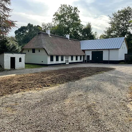 Forest With Charm And Original Details *