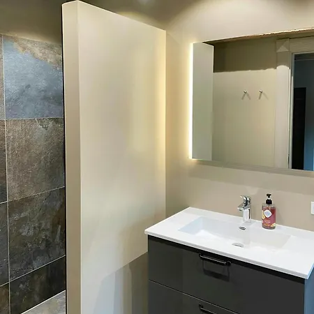 Forest With Charm And Original Details *