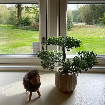 Forest With Charm And Original Details Ferienhaus *